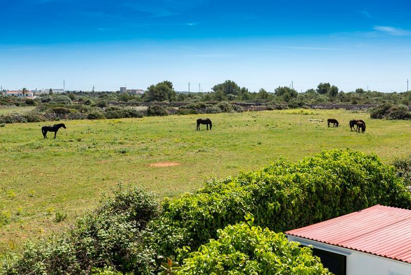 Apartamentos Mar Blanca Cala Blanca  Buitenkant foto